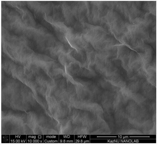 РЭМ изображение поверхности мембраны из оксида графена